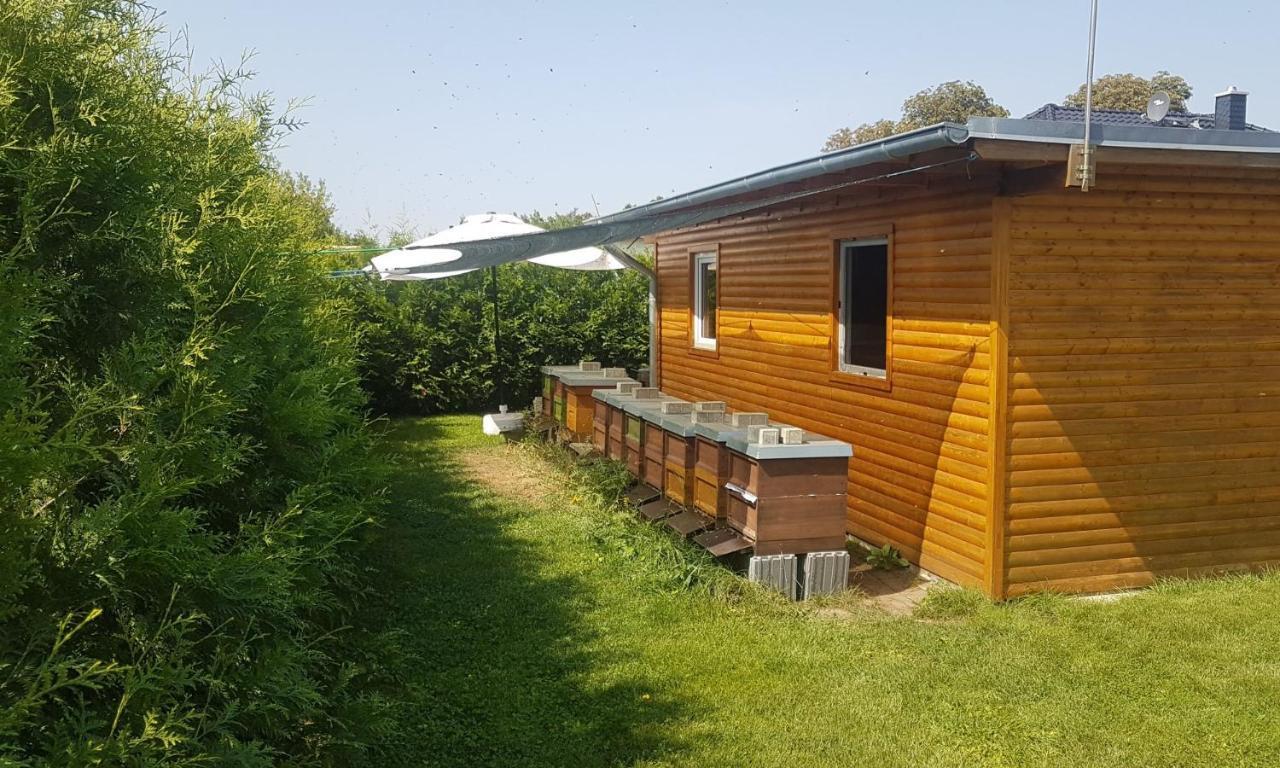 Ferienhaus Zum Imker Velten Exteriér fotografie